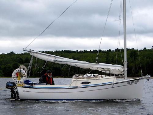 Com Pac Sun Cat opinie i specyfikacja